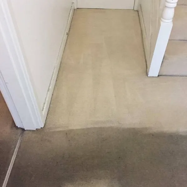 Carpet Cleaning service