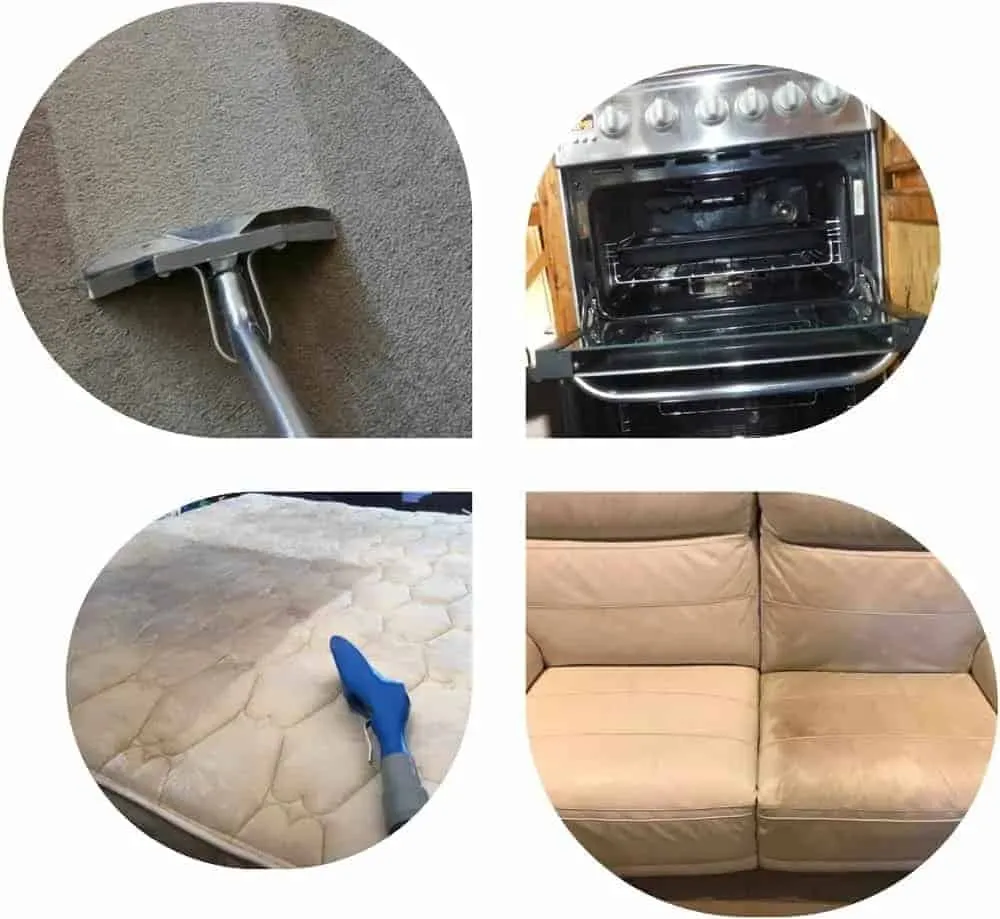 All Seasons Clean team providing carpet and oven cleaning